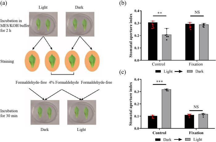 https://cdn.ncbi.nlm.nih.gov/pmc/blobs/d48d/11554558/780f9dc24f0e/j_biol-2022-0993-fig003.jpg