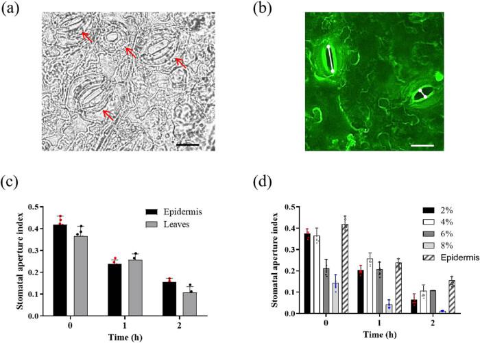 https://cdn.ncbi.nlm.nih.gov/pmc/blobs/d48d/11554558/ad99f75d064d/j_biol-2022-0993-fig001.jpg