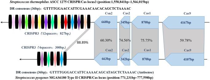https://cdn.ncbi.nlm.nih.gov/pmc/blobs/d4bd/5826314/212f27294646/fmicb-09-00257-g002.jpg