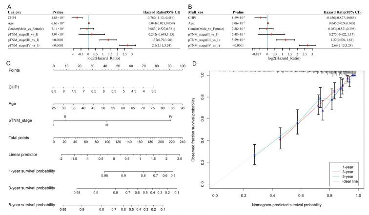 https://cdn.ncbi.nlm.nih.gov/pmc/blobs/d4d9/12292469/41189705096e/biomolecules-15-01019-g005.jpg