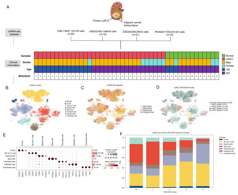 https://cdn.ncbi.nlm.nih.gov/pmc/blobs/d4d9/12292469/4617022a1e42/biomolecules-15-01019-g001.jpg