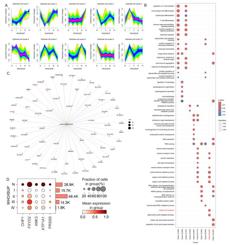 https://cdn.ncbi.nlm.nih.gov/pmc/blobs/d4d9/12292469/757c52338c05/biomolecules-15-01019-g002.jpg