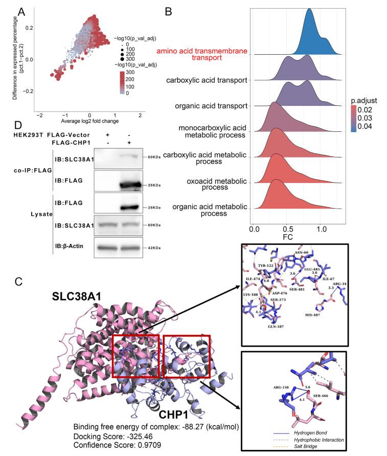 https://cdn.ncbi.nlm.nih.gov/pmc/blobs/d4d9/12292469/7e2936404c68/biomolecules-15-01019-g008.jpg