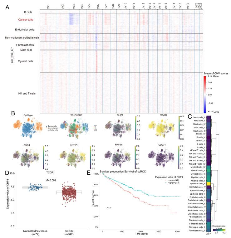 https://cdn.ncbi.nlm.nih.gov/pmc/blobs/d4d9/12292469/a0d5cb57da7e/biomolecules-15-01019-g003.jpg