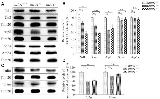 https://cdn.ncbi.nlm.nih.gov/pmc/blobs/d4ef/8096277/df9f46591ae2/gkab228fig5.jpg
