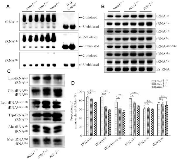 https://cdn.ncbi.nlm.nih.gov/pmc/blobs/d4ef/8096277/f04f1ffea724/gkab228fig3.jpg