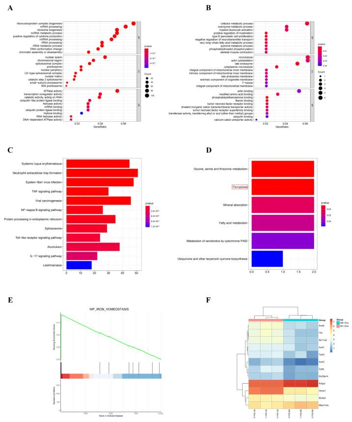 https://cdn.ncbi.nlm.nih.gov/pmc/blobs/d501/9776787/ce1eba10e4df/cells-11-03956-g003.jpg