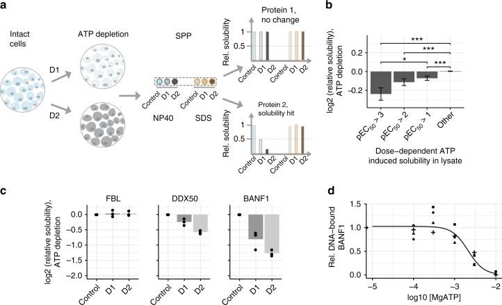 https://cdn.ncbi.nlm.nih.gov/pmc/blobs/d510/6411743/ca1724ae2299/41467_2019_9107_Fig4_HTML.jpg