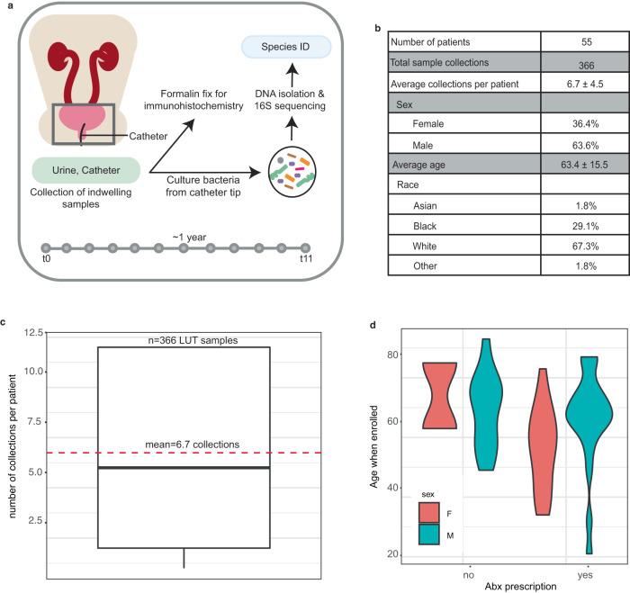 https://cdn.ncbi.nlm.nih.gov/pmc/blobs/d51e/10762172/a4972c34e1b2/41467_2023_44095_Fig1_HTML.jpg