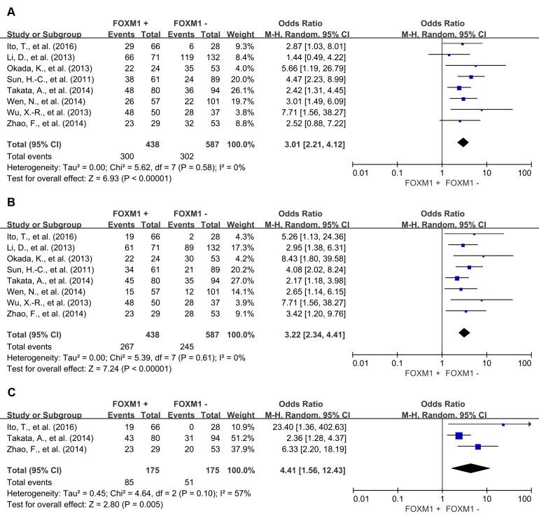 https://cdn.ncbi.nlm.nih.gov/pmc/blobs/d548/5458285/64fad3901fdd/oncotarget-08-32298-g003.jpg
