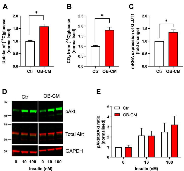 https://cdn.ncbi.nlm.nih.gov/pmc/blobs/d54f/10669731/29f3039d2bab/biomedicines-11-02908-g001.jpg