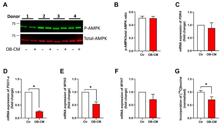 https://cdn.ncbi.nlm.nih.gov/pmc/blobs/d54f/10669731/4a95ebce1700/biomedicines-11-02908-g005.jpg