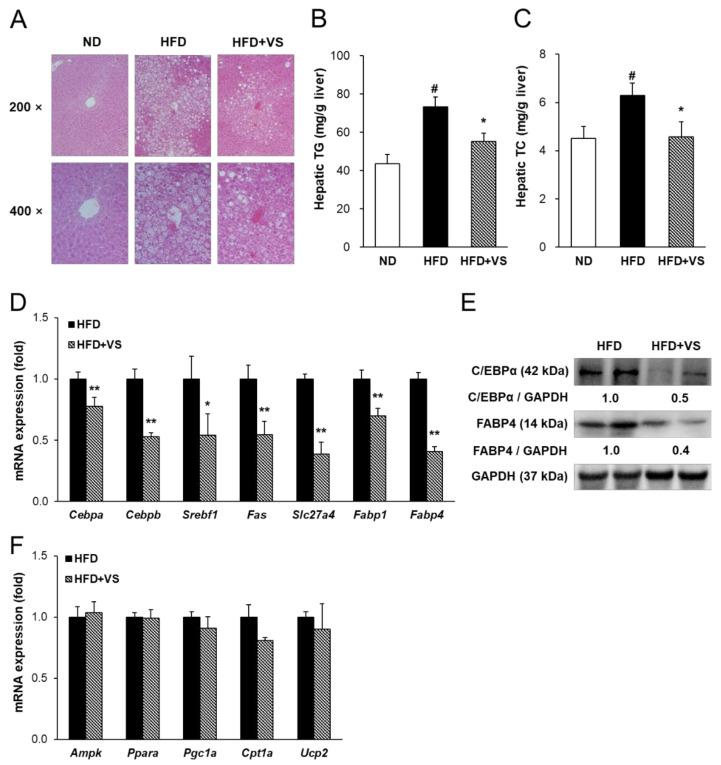 https://cdn.ncbi.nlm.nih.gov/pmc/blobs/d567/7922011/19198f2792e3/molecules-26-01052-g005.jpg