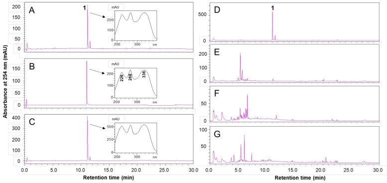 https://cdn.ncbi.nlm.nih.gov/pmc/blobs/d567/7922011/2bb56d7a4883/molecules-26-01052-g001.jpg