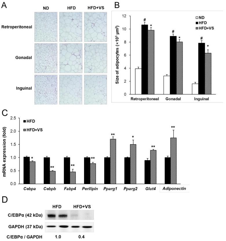https://cdn.ncbi.nlm.nih.gov/pmc/blobs/d567/7922011/9538f6e20ec4/molecules-26-01052-g004.jpg