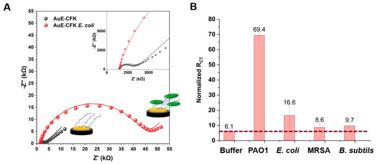 https://cdn.ncbi.nlm.nih.gov/pmc/blobs/d56b/9866871/649bb5b83a4e/sensors-23-00561-g005.jpg