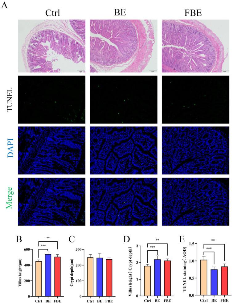 https://cdn.ncbi.nlm.nih.gov/pmc/blobs/d57b/10220671/53c368e1c5ea/microorganisms-11-01254-g001.jpg