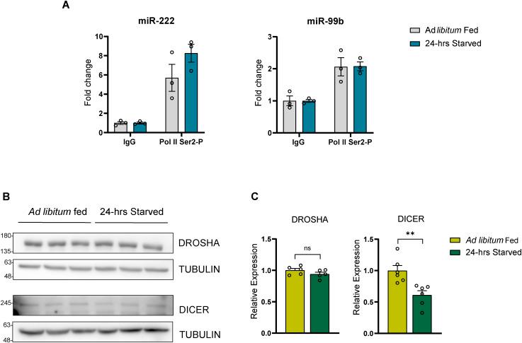 https://cdn.ncbi.nlm.nih.gov/pmc/blobs/d581/10897495/027eba1d3f71/LSA-2023-02180_FigS4.jpg