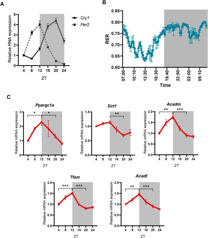 https://cdn.ncbi.nlm.nih.gov/pmc/blobs/d581/10897495/a47eecac260c/LSA-2023-02180_FigS1.jpg