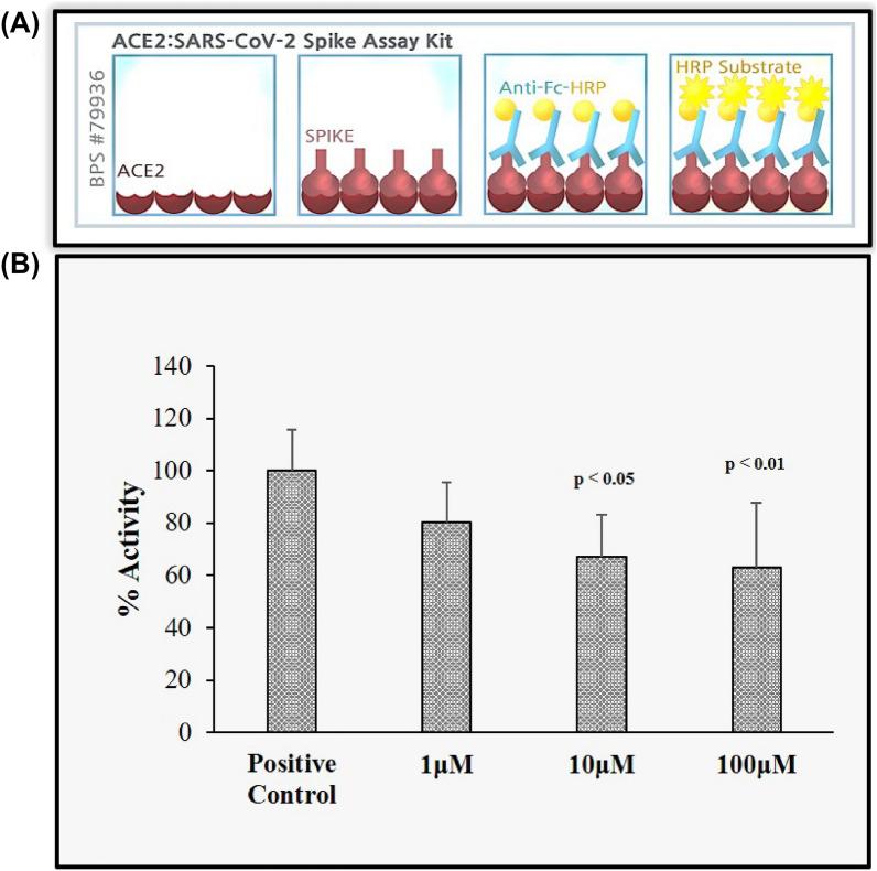 https://cdn.ncbi.nlm.nih.gov/pmc/blobs/d588/8363732/0881de739204/40268_2021_357_Fig5_HTML.jpg