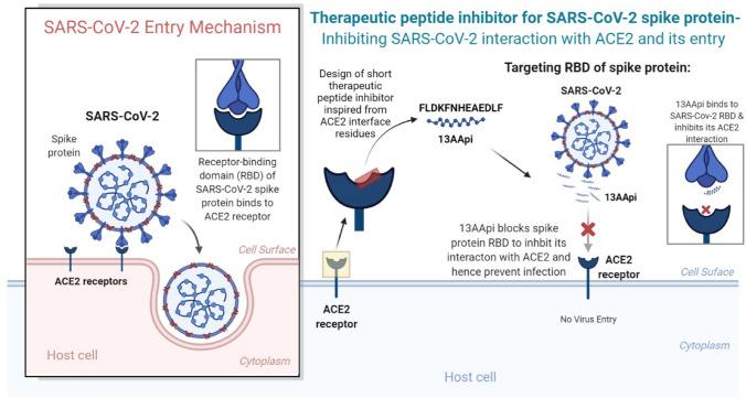 https://cdn.ncbi.nlm.nih.gov/pmc/blobs/d588/8363732/0fe84a36b612/40268_2021_357_Fig6_HTML.jpg