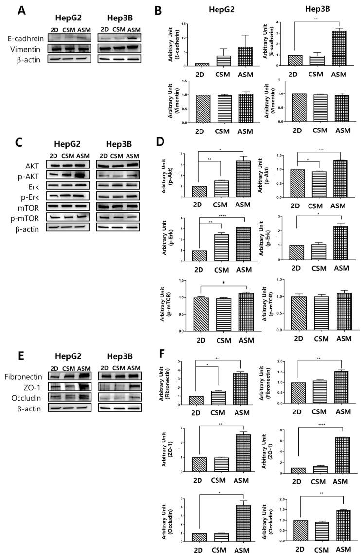 https://cdn.ncbi.nlm.nih.gov/pmc/blobs/d588/8399878/6c7d8fd73ee8/molecules-26-04949-g003.jpg