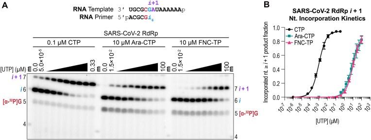 https://cdn.ncbi.nlm.nih.gov/pmc/blobs/d596/12400934/9953daa73cc3/ugaf029fig5.jpg