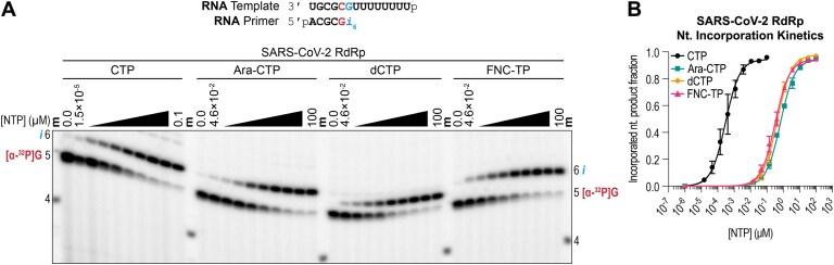 https://cdn.ncbi.nlm.nih.gov/pmc/blobs/d596/12400934/cf7b723c39c1/ugaf029fig3.jpg