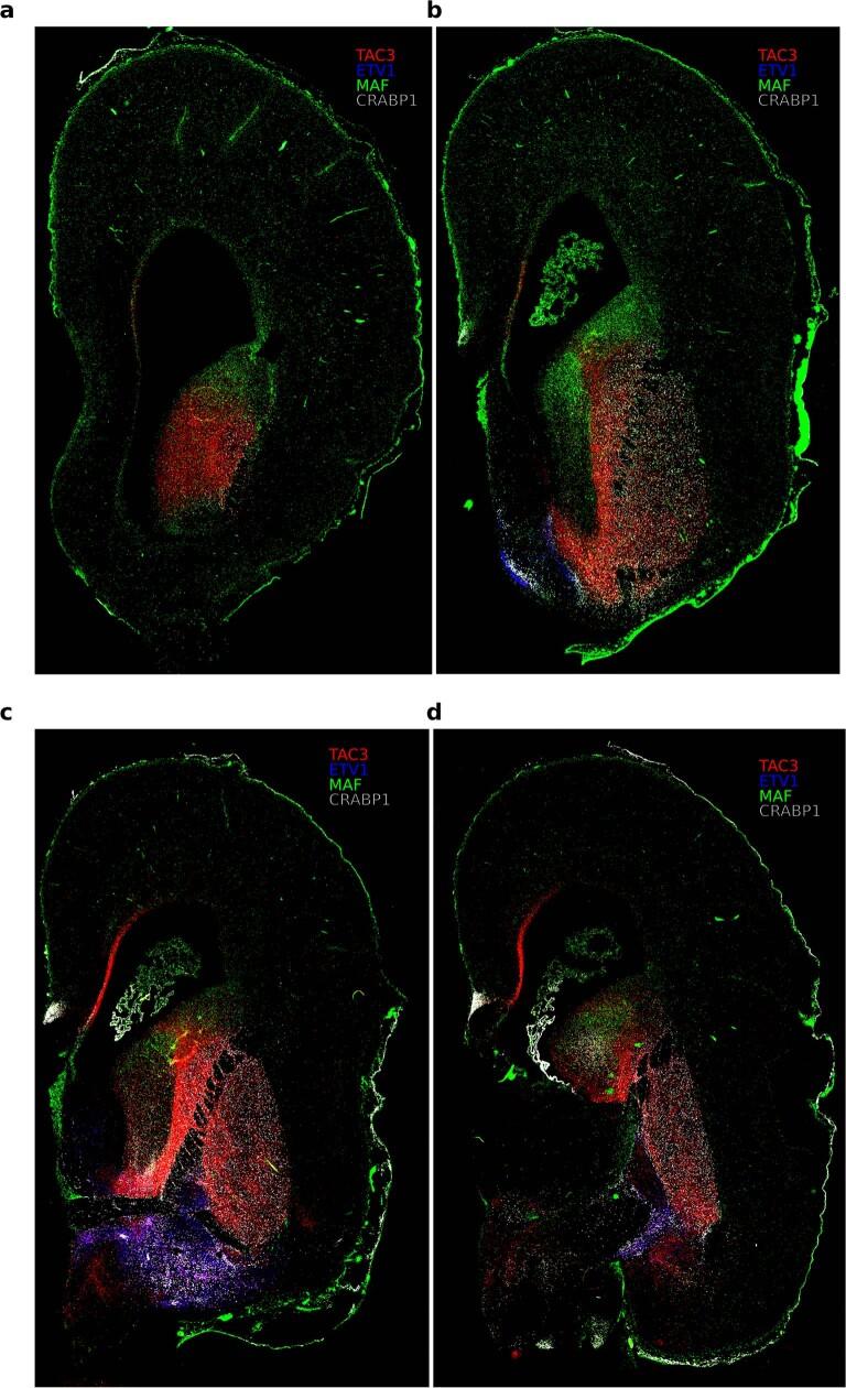 https://cdn.ncbi.nlm.nih.gov/pmc/blobs/d5a7/8967711/ed61a69542d5/41586_2022_4510_Fig13_ESM.jpg