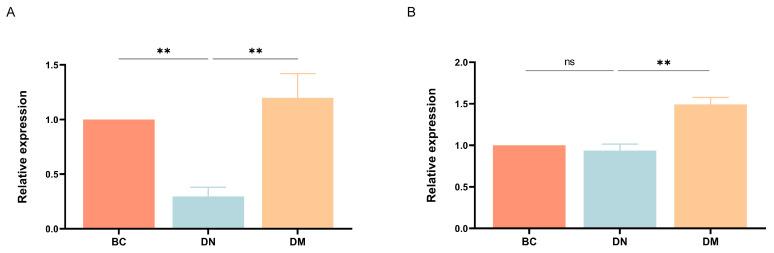 https://cdn.ncbi.nlm.nih.gov/pmc/blobs/d5af/12114451/1f592f7d0bc6/microorganisms-13-00957-g007.jpg