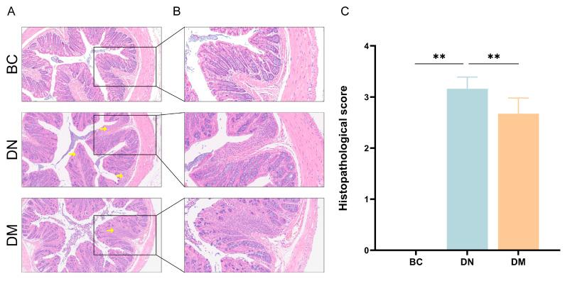 https://cdn.ncbi.nlm.nih.gov/pmc/blobs/d5af/12114451/d6ec67434146/microorganisms-13-00957-g005.jpg