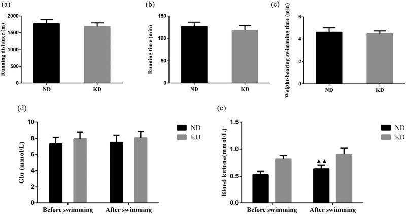 https://cdn.ncbi.nlm.nih.gov/pmc/blobs/d5b3/9961969/44fe2ffaf0bc/j_biol-2022-0570-fig003.jpg