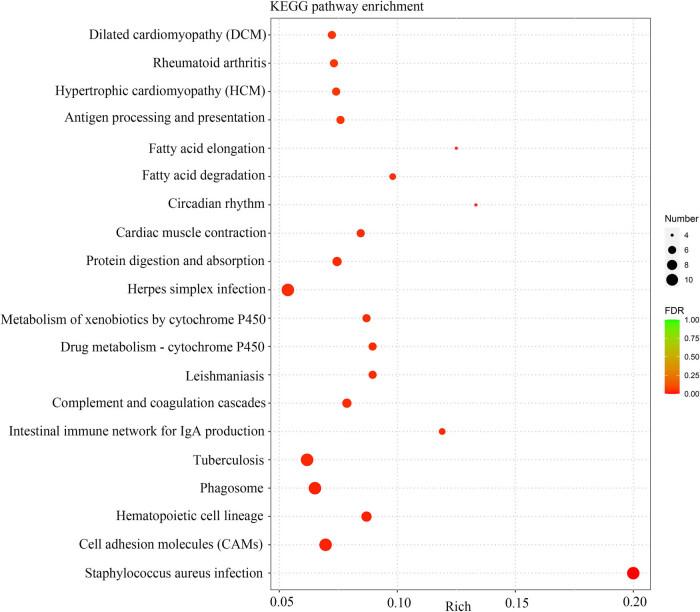 https://cdn.ncbi.nlm.nih.gov/pmc/blobs/d5b3/9961969/852dfecee09f/j_biol-2022-0570-fig006.jpg