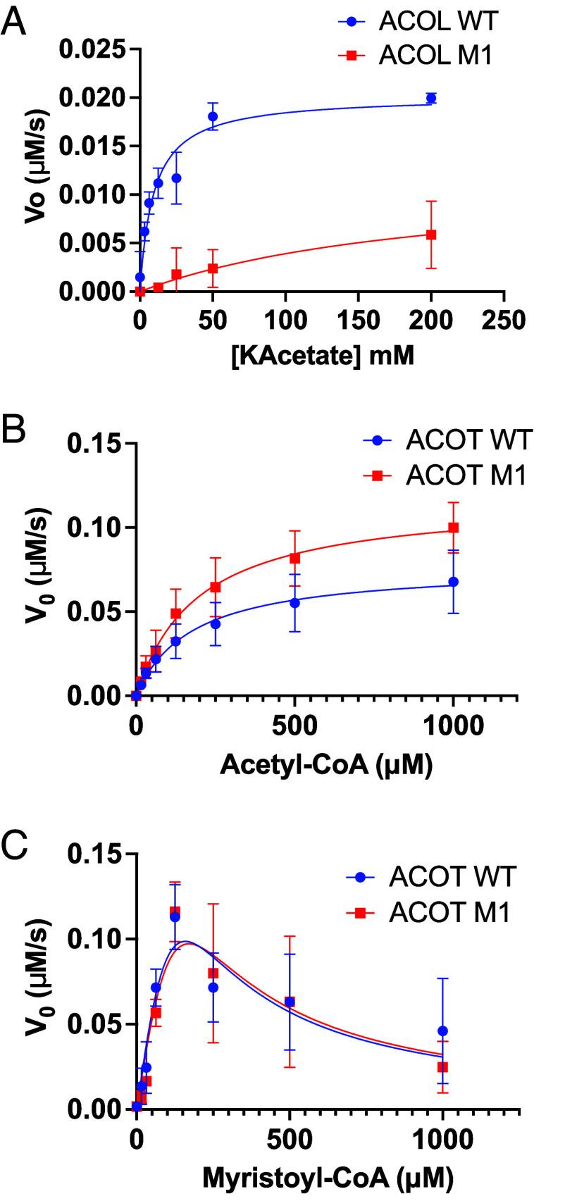https://cdn.ncbi.nlm.nih.gov/pmc/blobs/d5b4/11804543/47b2e9f88aa5/pnas.2420875122fig06.jpg