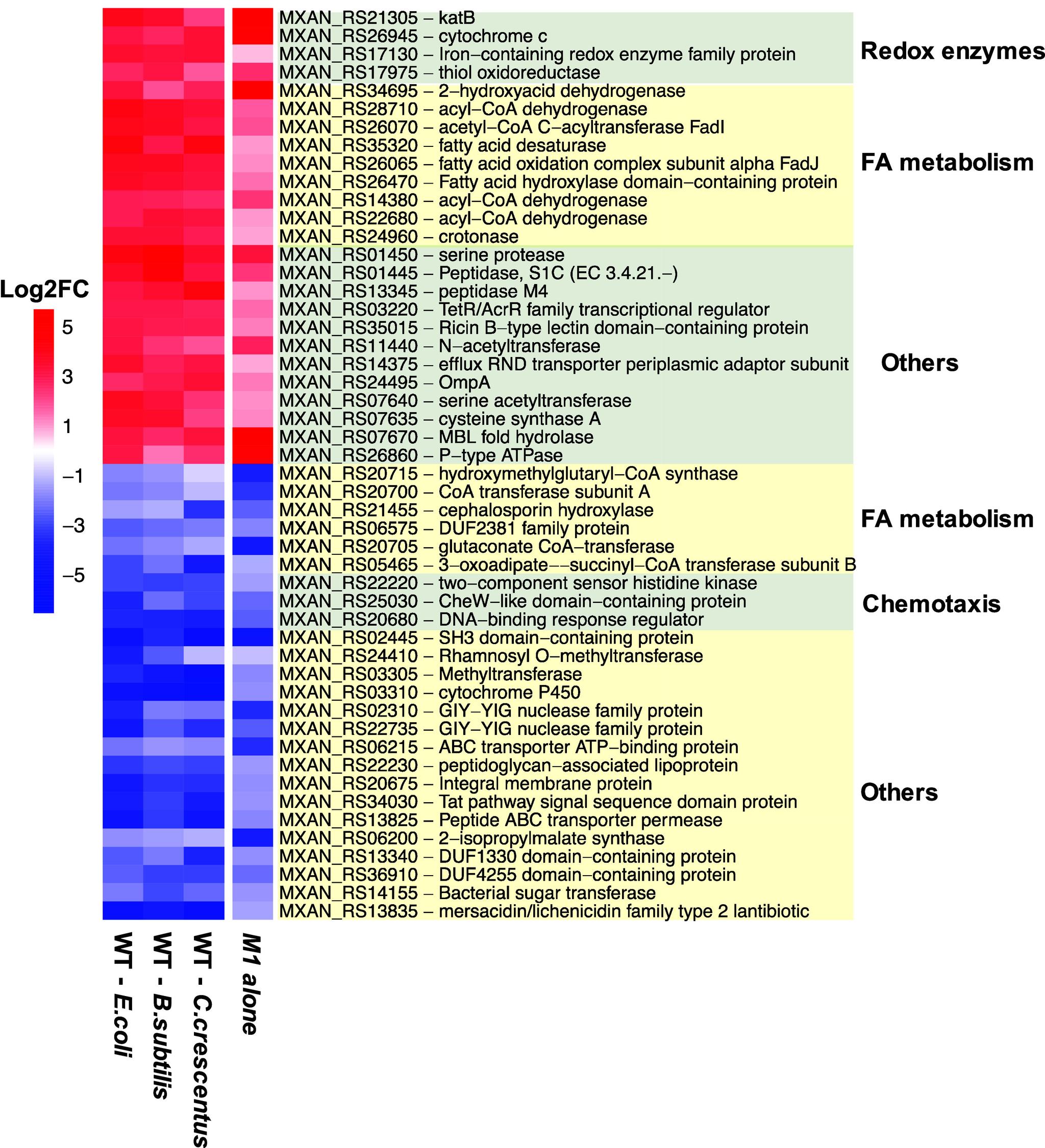 https://cdn.ncbi.nlm.nih.gov/pmc/blobs/d5b4/11804543/63244edcd1d0/pnas.2420875122fig04.jpg