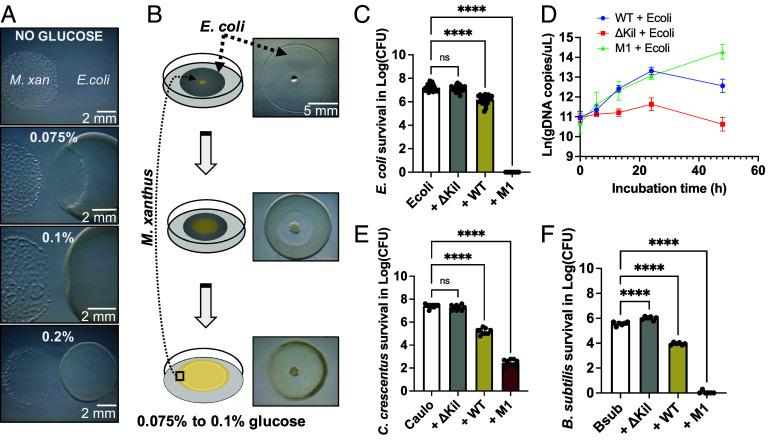 https://cdn.ncbi.nlm.nih.gov/pmc/blobs/d5b4/11804543/949cd438733d/pnas.2420875122fig02.jpg
