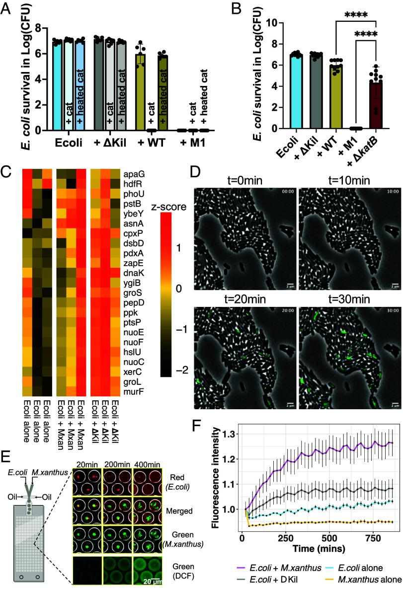 https://cdn.ncbi.nlm.nih.gov/pmc/blobs/d5b4/11804543/9f718ab16c2f/pnas.2420875122fig07.jpg