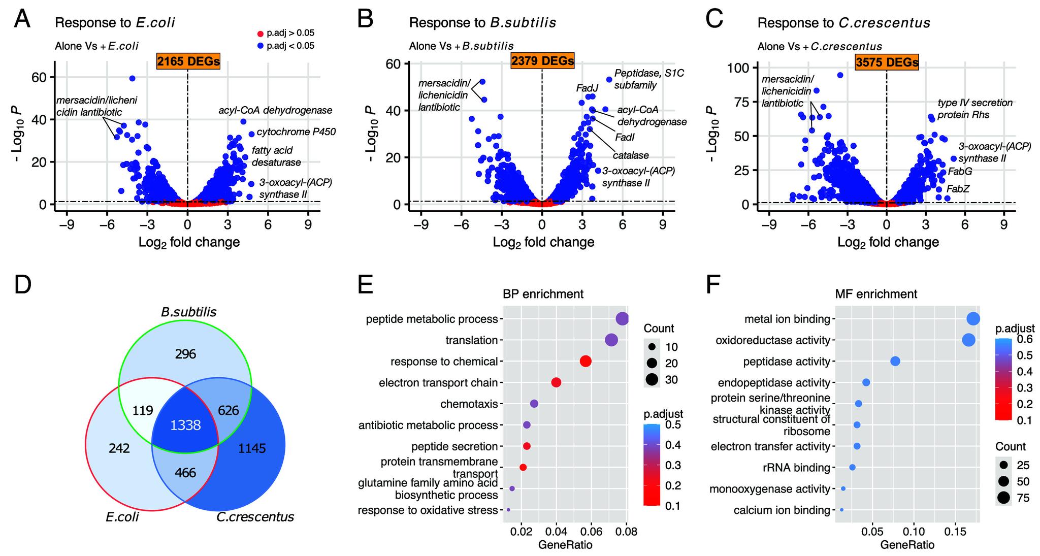 https://cdn.ncbi.nlm.nih.gov/pmc/blobs/d5b4/11804543/e64534e6cb34/pnas.2420875122fig01.jpg