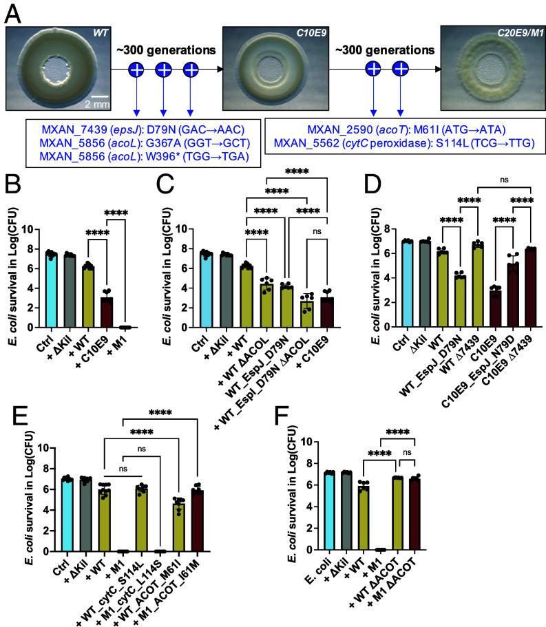 https://cdn.ncbi.nlm.nih.gov/pmc/blobs/d5b4/11804543/fe07fed18564/pnas.2420875122fig03.jpg