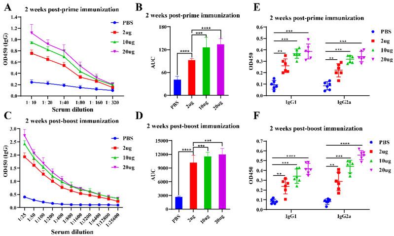 https://cdn.ncbi.nlm.nih.gov/pmc/blobs/d5bb/11680274/59bfe6ab6b70/viruses-16-01932-g005.jpg