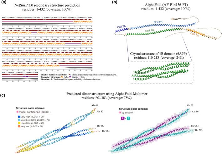 https://cdn.ncbi.nlm.nih.gov/pmc/blobs/d5c6/11658191/553df6863bcd/JNC-169-0-g003.jpg