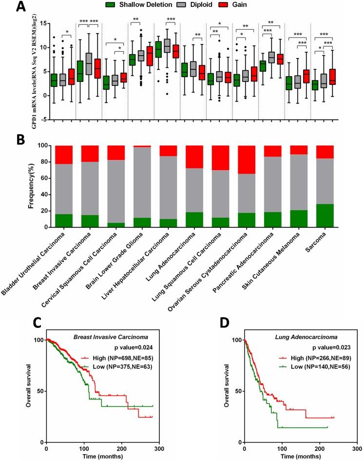 https://cdn.ncbi.nlm.nih.gov/pmc/blobs/d5d9/5731876/b8fed653837a/oncotarget-08-101309-g006.jpg