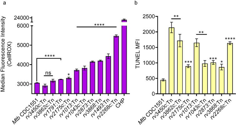 https://cdn.ncbi.nlm.nih.gov/pmc/blobs/d5e9/10501769/180ba5be8d80/elife-80218-fig3-figsupp2.jpg