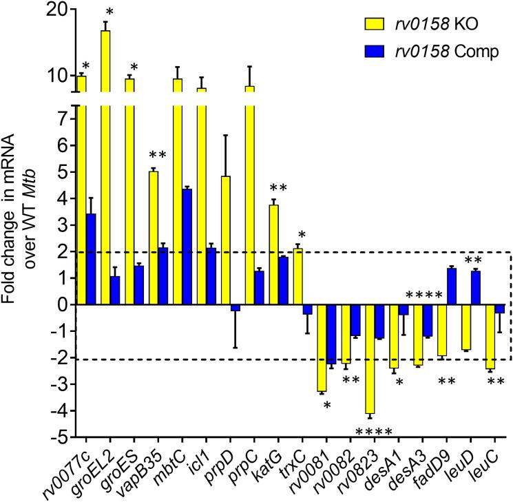 https://cdn.ncbi.nlm.nih.gov/pmc/blobs/d5e9/10501769/40ae7f371ce7/elife-80218-fig5-figsupp1.jpg