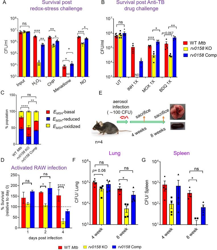 https://cdn.ncbi.nlm.nih.gov/pmc/blobs/d5e9/10501769/5f9e866e66fa/elife-80218-fig12.jpg