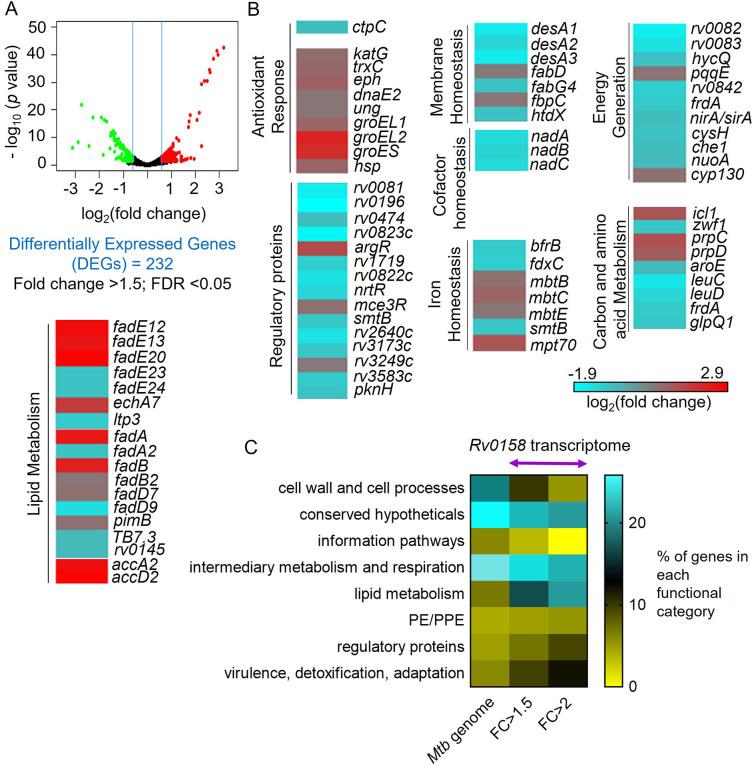 https://cdn.ncbi.nlm.nih.gov/pmc/blobs/d5e9/10501769/6787486d08fb/elife-80218-fig5.jpg