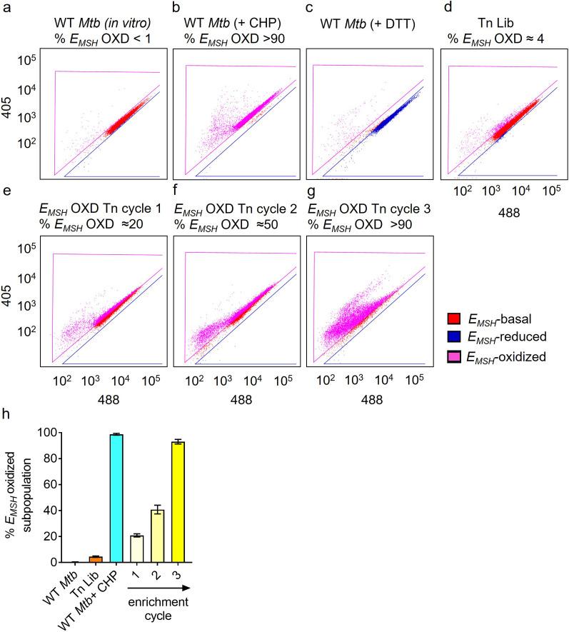 https://cdn.ncbi.nlm.nih.gov/pmc/blobs/d5e9/10501769/9491691e79a7/elife-80218-fig1-figsupp2.jpg