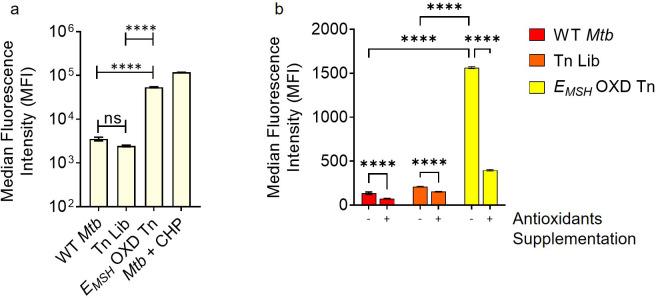 https://cdn.ncbi.nlm.nih.gov/pmc/blobs/d5e9/10501769/97563abc9d05/elife-80218-fig1-figsupp3.jpg