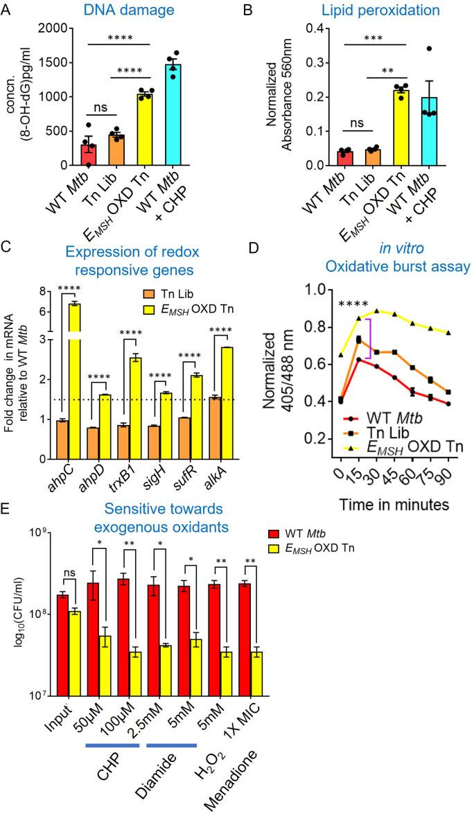 https://cdn.ncbi.nlm.nih.gov/pmc/blobs/d5e9/10501769/b81d9414abaa/elife-80218-fig2.jpg