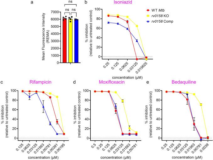 https://cdn.ncbi.nlm.nih.gov/pmc/blobs/d5e9/10501769/d491bfd2292c/elife-80218-fig12-figsupp2.jpg